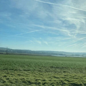 12 von 12 im Februar 2022 - Blick auf das Bingenheimer Ried mit strahlend blauem Himmel