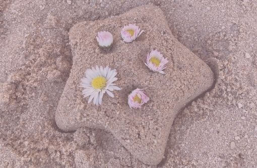 Blogartikel - Sommer - Sonne - Natürlicher Sonnenschutz - Seestern aus Sand mit Blumen darauf