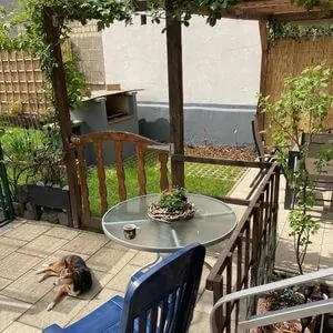 12 von 12 im Mai 2022 - Hund liegt vor Tisch mit Teetasse in der Sonne