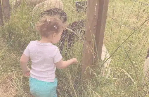 Beitragsbild Blogartikel Stoffwindeln unterwegs