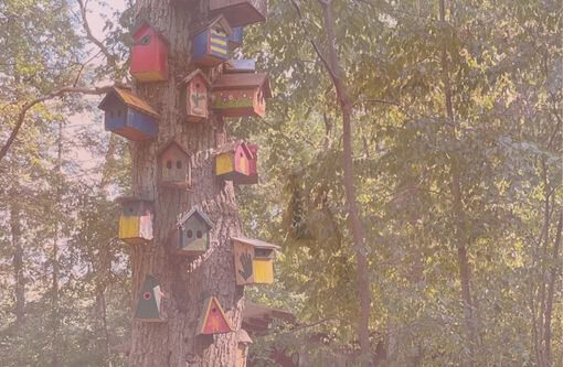 Beitragsbild Blogartikel Nachhaltigkeit im Alltag - Viele bunte Vogelhäuschen an einem Baum