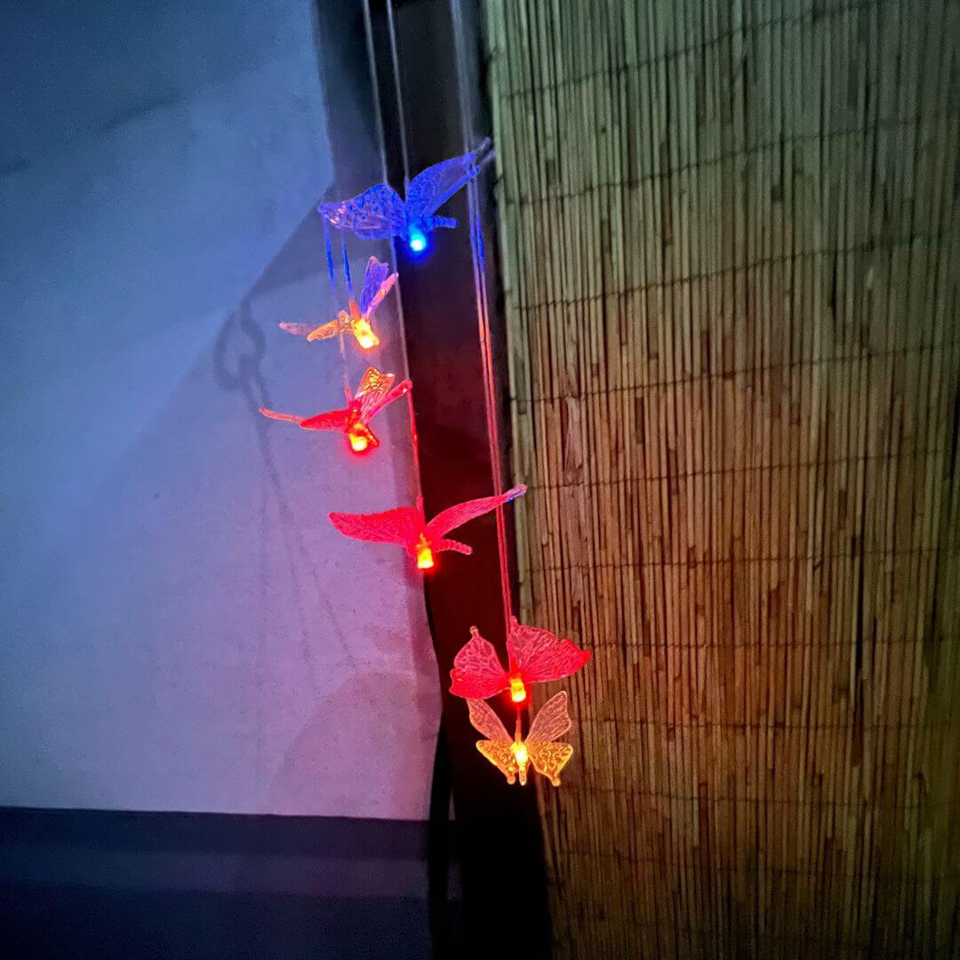 12 von 12 im September 2022 - Leuchtende Schmetterlinge auf der Terrasse
