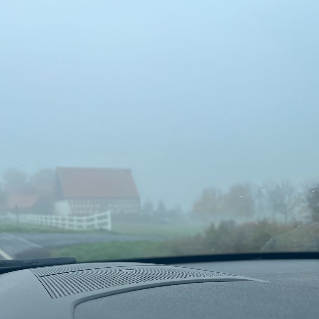 12 von 12 im November 2022 - Blick aus dem Auto in den Nebel