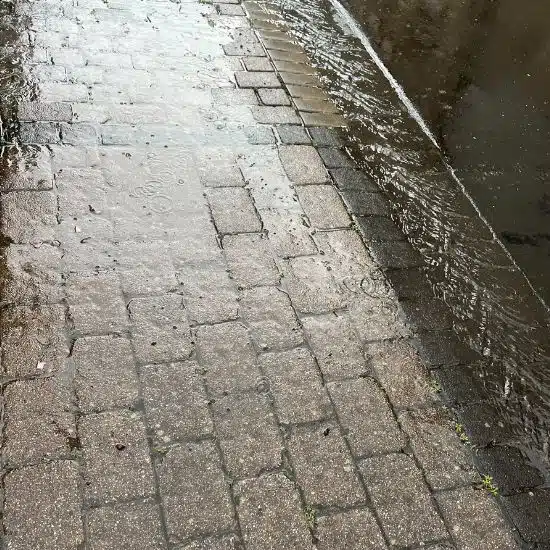 12 von 12 im Juli 2024 - Starker Regen 12 von 12 im Juli 2024 - Starker Regen