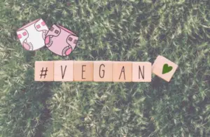 Buchstabenwürfel ergeben das Wort Vegan mit zwei Stoffwindeln darüber