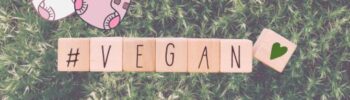 Buchstabenwürfel ergeben das Wort Vegan mit zwei Stoffwindeln darüber