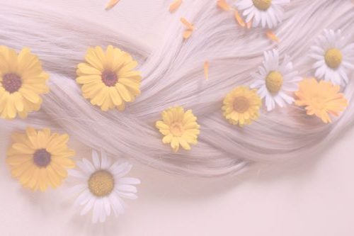 Beitragsbild Blogartikel Natürliche Haarpflege